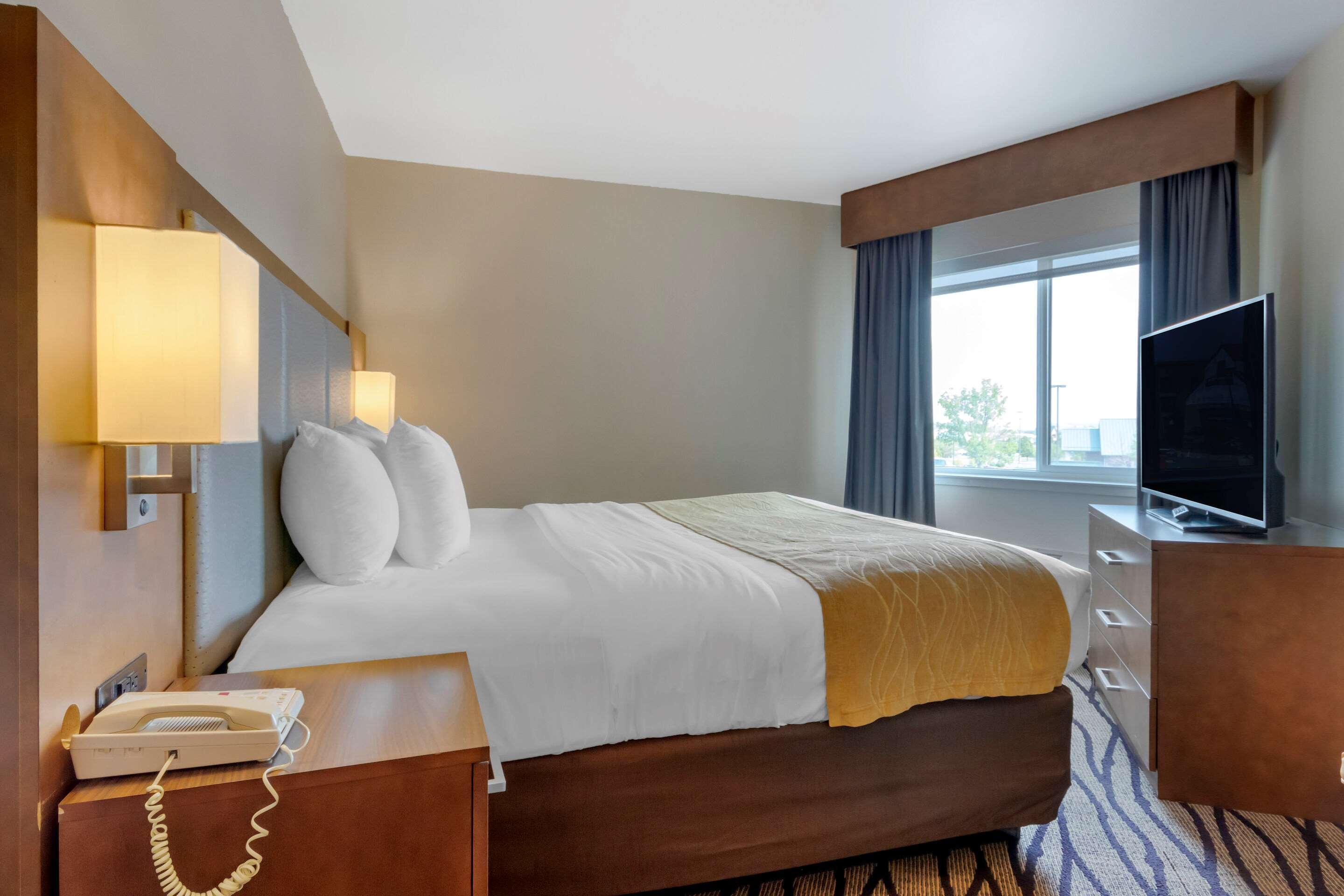 Comfort Inn & Suites Market - Airport Great Falls Esterno foto